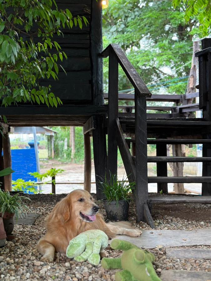 The Legend Homestay. Mae Ai Ngoại thất bức ảnh
