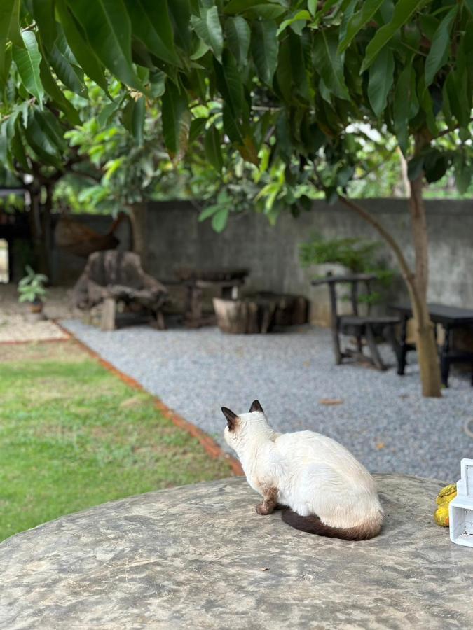 The Legend Homestay. Mae Ai Ngoại thất bức ảnh